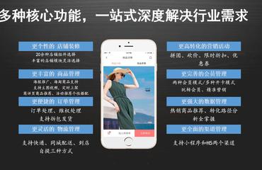 一站式服務專業定制開發電商小程序