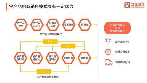 艾媒咨詢 2021年中國農產品電商發展報告