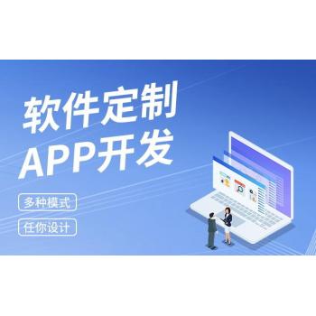 宜春軟件開發公司,小程序app制作網站建設開發