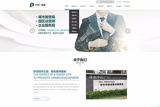 訊博網絡 廣州網站建設 廣州網站設計 廣州網站制作 廣州網站定制開發 廣州小程序開發公司