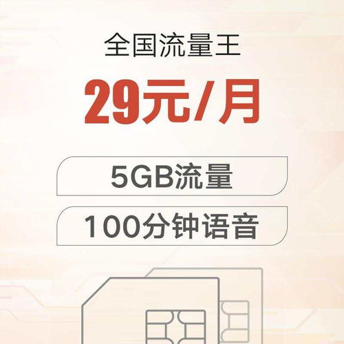 全國流量王 29元 月