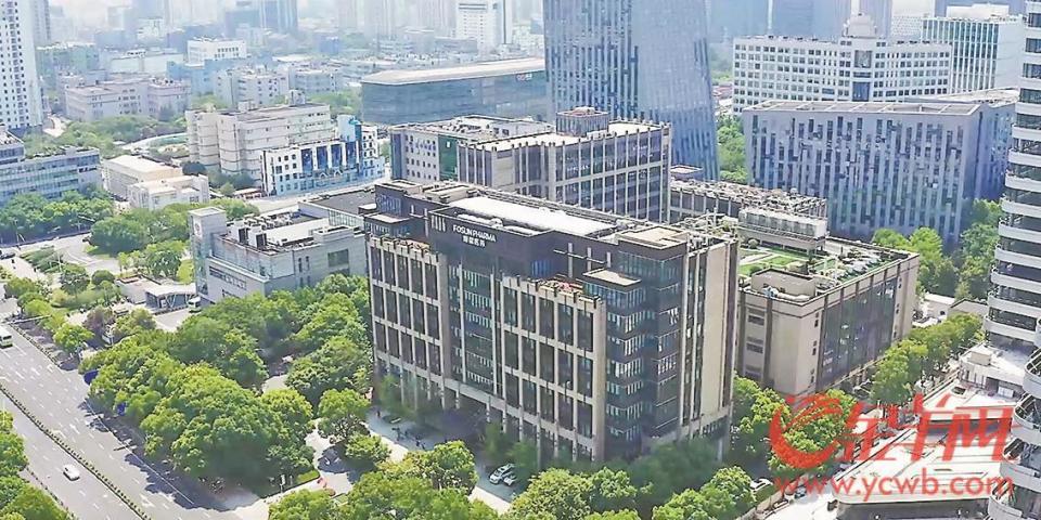 粵港澳大灣區與長三角 雙“翼”齊飛 積“勢”成力